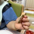jwk's cooksnap of when they made 子供もパクパク　ゴーヤチップス.