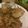 きのこ3's cooksnap of when they made ジューシーな豚ロース生姜焼き.