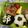 まっきー♪３７'s cooksnap of when they made サッカーボール弁当.
