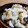 hs☆'s cooksnap of when they made ☼秋満喫♪鶏ときのこの和風チーズ焼き.