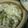 りんばたまま's cooksnap of when they made 餃子鍋.
