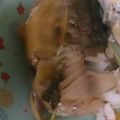 にょりこママ's cooksnap of when they made 【簡単】真ホッケの煮付け【手抜き☆】.