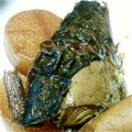 キャサリンマジック's cooksnap of when they made ツバス（ブリの幼魚）と大根の煮物.
