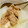 あーｍｂ's cooksnap of when they made 塩豚と大根の煮物スープ.