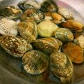 せんりゅう♪'s cooksnap of when they made 浅利の砂抜き.