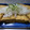 ナーちゃん's cooksnap of when they made ゴマ香る☆焼き厚揚げのおろしポン酢.