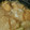☆プラハ☆'s cooksnap of when they made きのこと鶏のみぞれ鍋.
