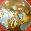 ながのぞ's cooksnap of when they made じゃがいもと油揚げと玉ねぎのみそ汁.