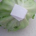 ぱなしぇ's cooksnap of when they made レタスの保存.