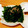 クックQXCOV0☆'s cooksnap of when they made ほうれん草の海苔の佃煮和え.