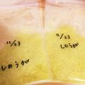 usaco：'s cooksnap of when they made すりおろしたショウガの保存に。.