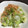 カジオヤジ's cooksnap of when they made 白菜の中華風おひたし.