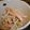 ☆ちゃぁーき☆'s cooksnap of when they made ちょー簡単ゴボウサラダ.