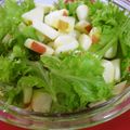 ともこキッチン's cooksnap of when they made わさび菜とりんごのサラダ.