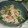 アスカチャチャ's cooksnap of when they made ぶきっちょさんでも旨くなるカイワレサラダ.