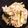 kona8's cooksnap of when they made ブロッコリーの芯と大根できんぴら風.