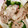 あまいこびと's cooksnap of when they made 野菜と一緒の冷しゃぶ.