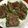 xkonitanx's cooksnap of when they made ピーマンと椎茸の肉詰め.