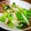 かつどんママ's cooksnap of when they made 簡単！小松菜とえのきのおかか和え☆.