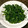 ma―chin's cooksnap of when they made ほうれん草とピーマンの胡麻和え.