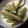 ダサコ's cooksnap of when they made いんげん！白胡麻和え♪.