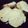 Yuchin0907's cooksnap of when they made 簡単 あん肝.