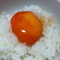 aochan☆'s cooksnap of when they made 卵黄の醤油漬け 卵かけご飯に.