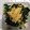 ShellieMam's cooksnap of when they made 卵とほうれん草の中華炒め.