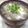 yasutonton's cooksnap of when they made ニラ玉しめじの和風スープ.