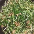 ひなちゃん2号's cooksnap of when they made 水菜の消費に!オイスターソース炒め.