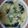 クックQGFJLB☆'s cooksnap of when they made ほうれん草とジャガイモのミルク煮.