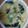 クックQGFJLB☆'s cooksnap of when they made ほうれん草とジャガイモのミルク煮.