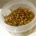 mataeeee's cooksnap of when they made 大根の葉のごま油炒め.