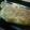 しょのみぃ's cooksnap of when they made 豚肉の粒マスマヨ焼き.