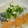 みっくママ's cooksnap of when they made レンジde簡単♬白身魚のおろし蒸し.