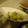 mi◎kitchen's cooksnap of when they made 簡単！おいしすぎ！鶏ささみのねぎ塩サラダ.
