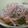 mrclover's cooksnap of when they made ☆サラダ☆柿と大根ときゅうり♪.