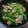 ひめは8's cooksnap of when they made 牛小間切れで☆青椒肉絲チンジャオロース.