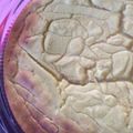 sacoharu's cooksnap of when they made ミキサーで濃厚！スイートポテトプリン！.