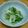 どんがらがっしゃっん's cooksnap of when they made あと1品に♪白菜のなんちゃってナムル.