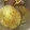 のこぜっと's cooksnap of when they made 炊飯器でしっとり甘〜いさつまいも.