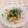 クックU65BTV☆'s cooksnap of when they made アボカドがナイス！春菊と柿のサラダ.