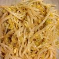 Sorariki's cooksnap of when they made 焼肉屋さんのもやしナムル.