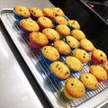 愛琉☪'s cooksnap of when they made しっとりチョコチップマフィン♡.
