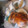 I LOVE EAT's cooksnap of when they made うまく焼けますように！！の丸焼きターキー.