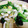 9ちゃんママ's cooksnap of when they made ★イカと長ねぎの炒め物★.