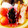 mantacarp's cooksnap of when they made お弁当に簡単ほうれん草のごま和え♡.