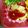 ma___111's cooksnap of when they made りんごトマトマヨサラダ.