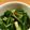 tamayakko6's cooksnap of when they made 『❀カブの葉のお漬物❀』.