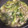 ひなちゃん2号's cooksnap of when they made 豚バラ肉と青梗菜から出る水分の簡単煮物♪.